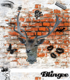 hirsch