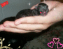 aww my baby aww my baby