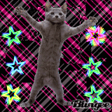 so you think you can dance!!!