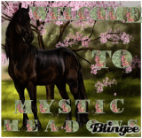 Mystic Meadows 