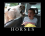 horses attack