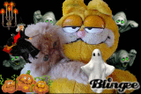 Boo