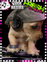 dj mad dog dj mad dog