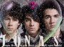 hot jonas!!!!!!!