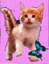 gato bravito(ORIGINAL BLINGEE)