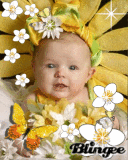 Baby flower