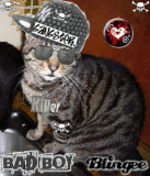 HA...HA....NERONE UN KILLER...!