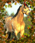 rebecaanimallover1994