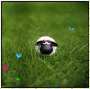MoutOn =) MoutOn =)