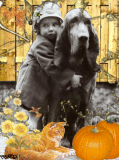 BA - WAITING ON FALL