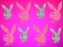 Playboy