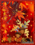 autumn w spiders and acorns 