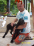 Au secours des monstres