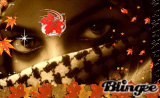 MIRADA DE OTOÑO