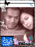 butterflies