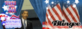 usa 2008