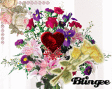 flowers are asomse