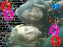 bffl