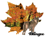 Animated Picture