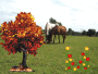 21 septembre fete du cheval