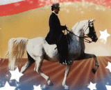 white horse 