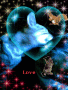 Love Kitty