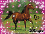 horsy
