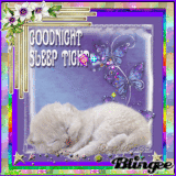 sleeping kitten animation