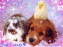 Best Friends