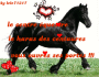 equideo