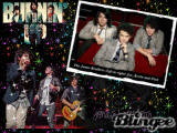 jobross! (L)