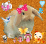 Lapin d'automne