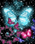 blue butterfly blue butterfly