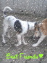 Luna und Speikie