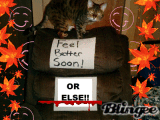 Feel better soon