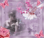 Dreaming of Pink SBF #1