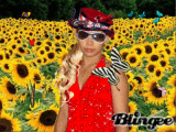 ningning