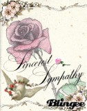 Sincerest Sympathy