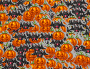 Happy Hollween :P Happy Hollween :P