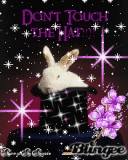 Don't Touch the Hat!!