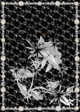 background blingee