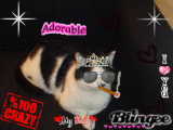 Mon chat Mon chat