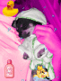 fresca