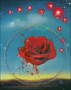 medition rose medition rose