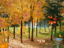 Automne 