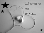 МΰźΐĈ  «3