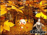 Autumn leaves