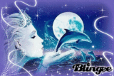 la femme et les dauphins