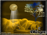 Alone to the moonlight