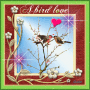 A bird love